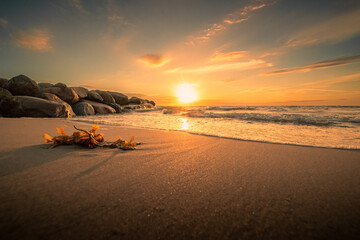 Sonnenuntergang am Strande