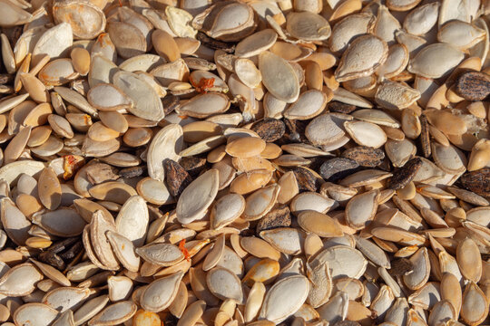 Macro photo of a mixture of pumpkin and melon seeds for a food background. Natural background of the seed texture