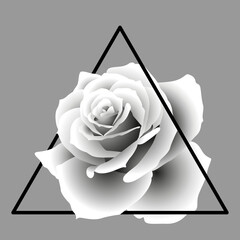 Vector illustration in one line style. Rose in a triangle. Geometric floral design. Logo.