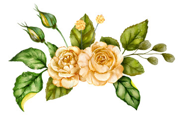 Watercolor yellow rose romantic flower border illustration.