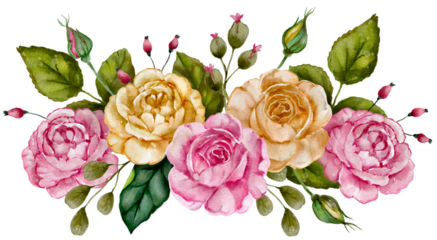 Watercolor pink and yellow rose romantic flower illustration.