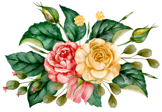 Watercolor red and yellow rose romantic flower border illustration.