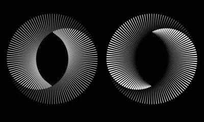Fotobehang White lines in circle abstract background. Yin and yang symbol. Dynamic transition illusion. © Mykola Mazuryk
