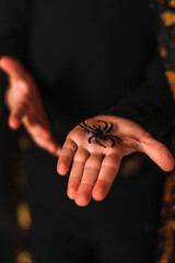 A toy spider on a child's palm.Halloween concept.Selective focus,close-up,copy space.