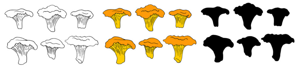 a set of chanterelles. Vector isolated yellow edible chanterelle mushrooms with black outline and silhouette on white. hand-drawn forest chanterelle mushrooms in a realistic style for labels, menus, p