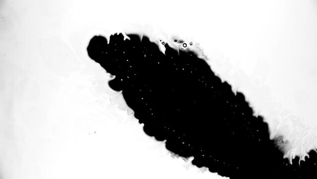 Abstract ink splatter transition in black and white seamless loop