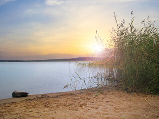 Sandy shore of Seliger with tall grass against the backdrop of a beautiful sunset. Ostashkov, Tver region, Russia