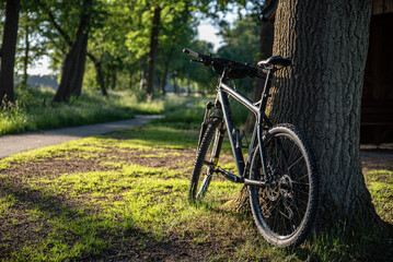 Fototapeta na wymiar Fahrradweg in Schneverdingen Lüneburger Heide
