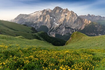 Fototapeta na wymiar Summer view of Marmolada (Punta Penia), the highest peak in Dolomites, Trentino, Italy. Alpine landscape of Dolomiti with a view of a glacier on Marmolada and beautiful green meadow with yellow flower