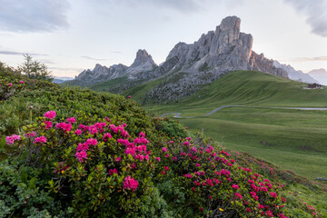 Fototapeta na wymiar Scenic panorama view on Passo Giau in Dolomites national park, Italy The Giau Pass is a high mountain pass in the Dolomites in the province of Belluno, Italy.