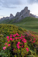 Fototapeta na wymiar Scenic panorama view on Passo Giau in Dolomites national park, Italy The Giau Pass is a high mountain pass in the Dolomites in the province of Belluno, Italy.