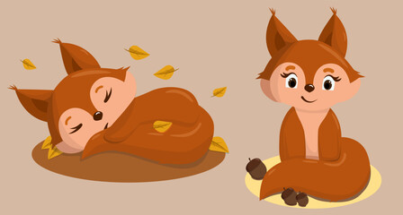 Cute squirrel. Funny squirrel baby. © Мария Кучерук