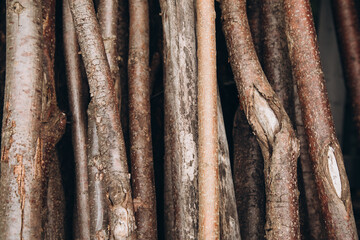 Natural background of dry brown tree branches close-up. Front view
