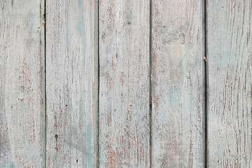 Fototapeta premium Vintage wooden door background. Weathered wood background.