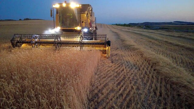 Combine harvester working in a wheat field. 