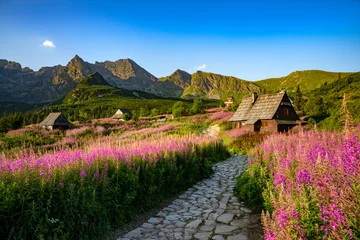 Papier Peint photo Tatras Beautiful summer sunrise in the mountains - Hala Gasienicowa valley in Poland - Tatras