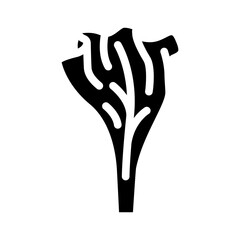 lettuce healthy food glyph icon vector. lettuce healthy food sign. isolated symbol illustration