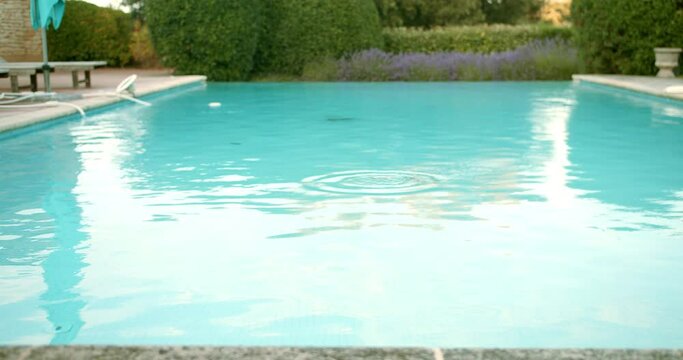 Happy dog jumping in swimming pool playing game fetching toy ball. Black shepherd dog playfully enjoying summer cute furry canine having fun splashing. High quality 4k footage