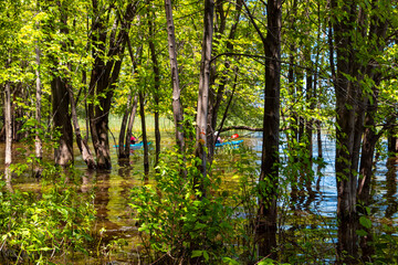 Kayaking through a flooded forest