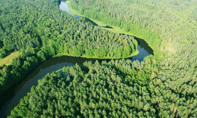 Aerial view of a green forest with a mountain river. Beautiful national Park background