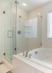 Vertical Bathtub and frameless shower stall with white marble wall surround