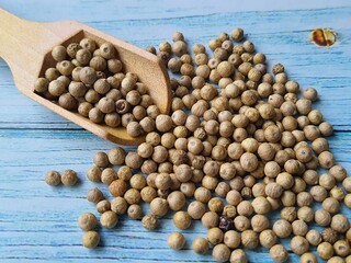 White peppercorns (Piper nigrum) in a wooden measuring spoon on a wooden table, top view.