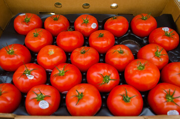 Tomatoes. Market. Wellfleet, Massachusetts