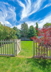 Vertical Whispy white clouds Backyard with picket fence and gate on a green lawn