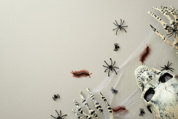 Halloween spooky decorations concept. Top view photo of skull skeleton hands insects spiders...