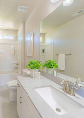 Vertical Sun flare White bathroom interior with indoor plants decorations