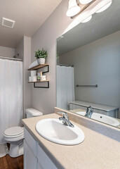 Vertical Interior of a bathroom with white floor cabinet and vanity sink
