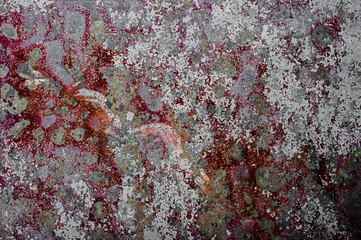 Fototapeta premium Abstract background for design with copy space.