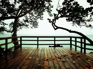 Ocean view