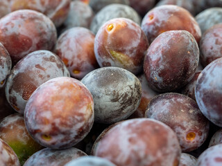 Obraz premium Photo of plum fruits. Texture background of fresh purple plums.