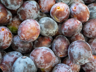 Photo of plum fruits. Texture background of fresh purple plums.