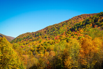 Autumn Colors on an Appalachian Mountainside under a clear blue sky