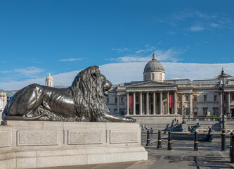 London, UK- July 4, 2022: Trafalgar Square. Lion of Nelson's Column in front  with National Gallery building on other side of square under blue cloudscape. 