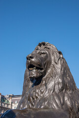 London, UK- July 4, 2022: Trafalgar Square. Lion's head statue closeup at Nelson's Column against...