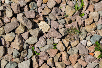 wild green grass grows through grey color of the crushed granite and limestone coarse gravel foreground closeup. High quality photo