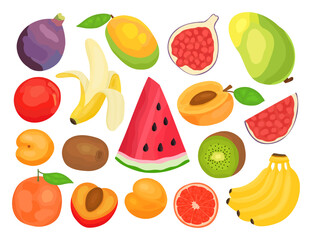 Fruit set in cartoon style. Fig, peach, apricot, orange, kiwi, banana, mango, watermelon, grapefruit.