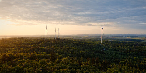 wind turbines in the forrest