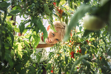 A child, a smiling, cheerful, happy boy, a teenager in a greenhouse with tomatoes in the garden