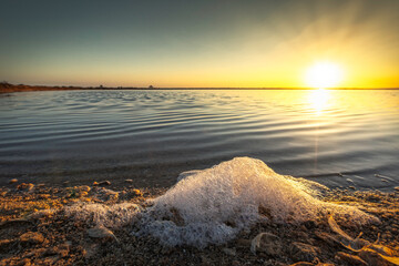 Espuma en marisma al atardecer
