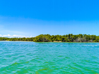 Panorama landscape view Holbox island nature beach turquoise water Mexico.