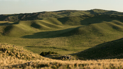 Valle de pastizal entre colinas, Córdoba Argentina © Cabramedia