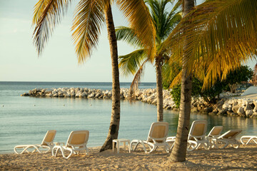 beach with palm trees in Jamaica