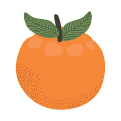 orange citrus fruit