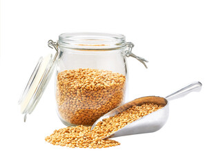 organic wheats in metal scoop and  in glass storage jar isolated on white background.