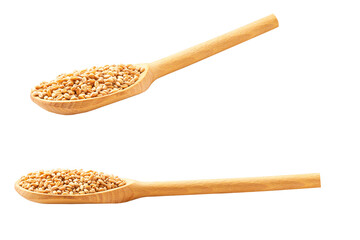 wooden spoon with organic wheats isolated on white background.