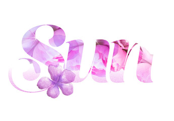 Pink Flowers Texture Text Effect